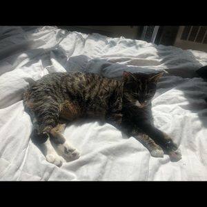 Meet your Posher, Mary